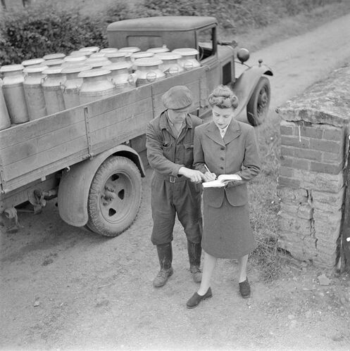 NP_FA_40s015: Suit Harvest