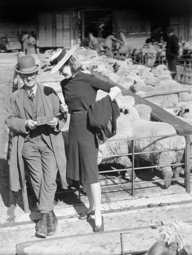 NP_FA_40s017: Cotswold Country Sheep Market