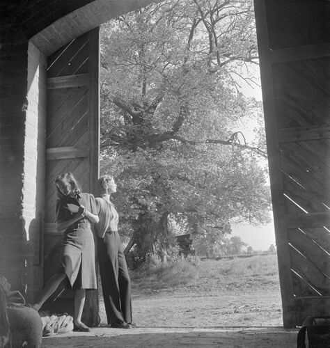 NP_FA_40s019: Deep Country Look