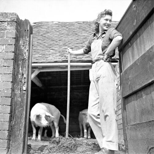 NP_FA_40s149: On the Farm