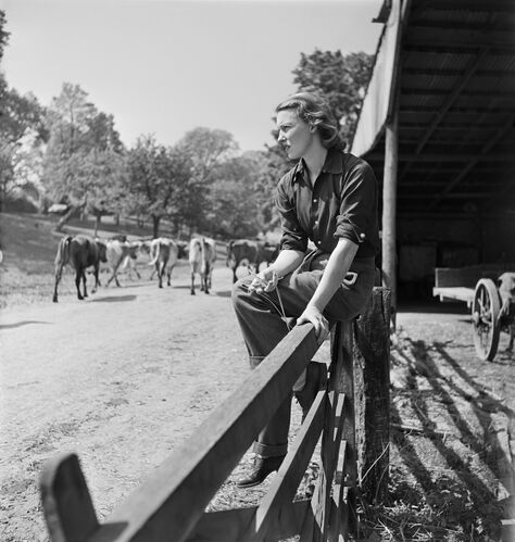 NP_FA_40s255: Thelma Woolley