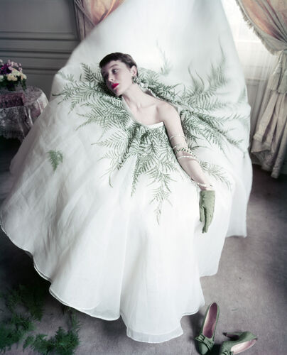 NP_FA_50s141: Bettina Graziani