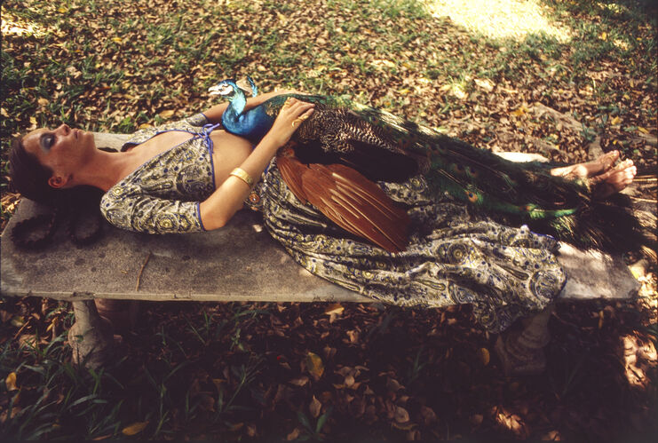 NP_FA_60s0096: Jan Ward