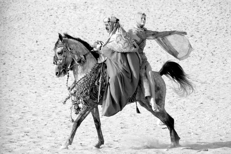 NP_FA_60s067: Connie Barr