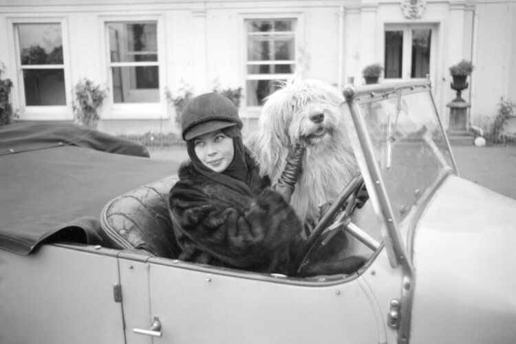 NP_FA_60s070: Leslie Caron