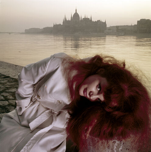 NP_FA_60s099: Danube River