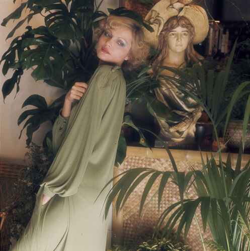 NP_FA_70s031: The Evening Chemise