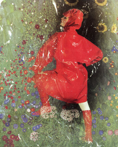 NP_FA_KP012: Katherine Pastrie