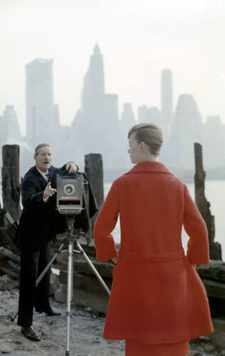 NP_FA_NVS037: Nena von Schlebrügge