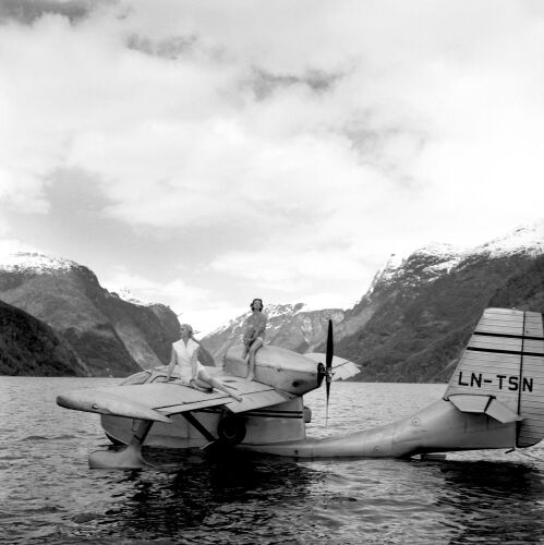 NP_FA_WP130: Wenda in Hardangerfjord