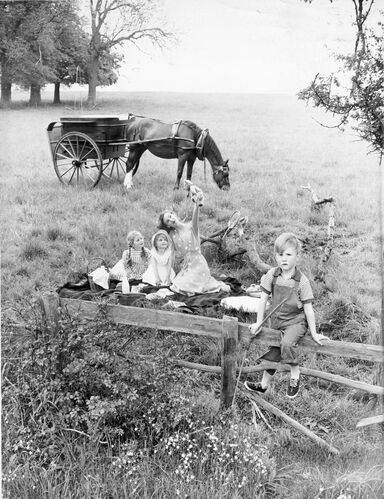 NP_FA_WP145: Picnic with Wenda Parkinson