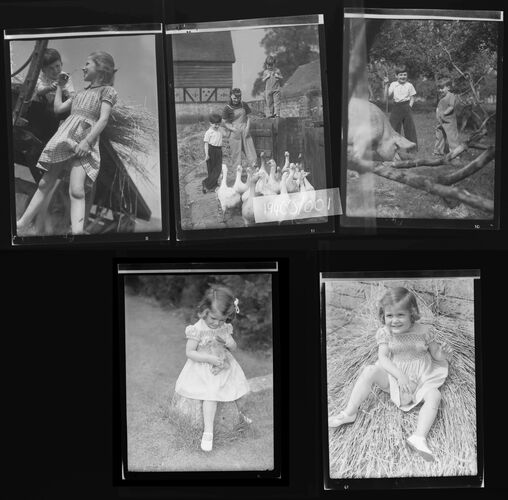 NP_NP04D4_1941_003: The Freedom of the Farm