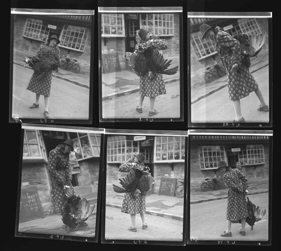 NP_NP04D4_1941_006A: Turkeys in Twekesbury