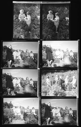 NP_NP04D4_1941_010C: Children and Fur Trees