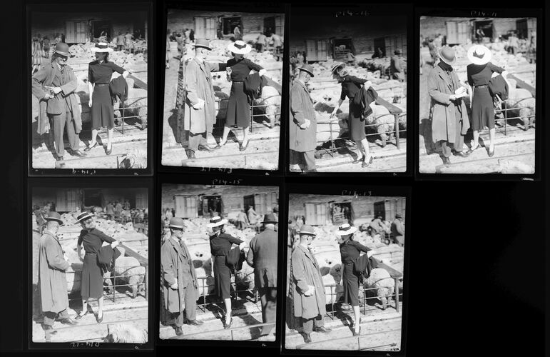 NP_NP04D4_1942_010C: Cotswold Country Sheep Market