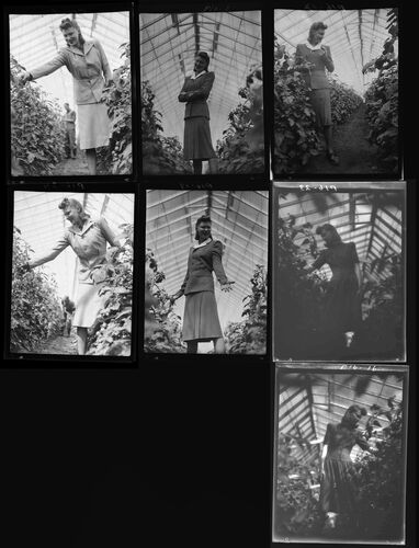 NP_NP04D4_1942_011D: Good Food and Clothing