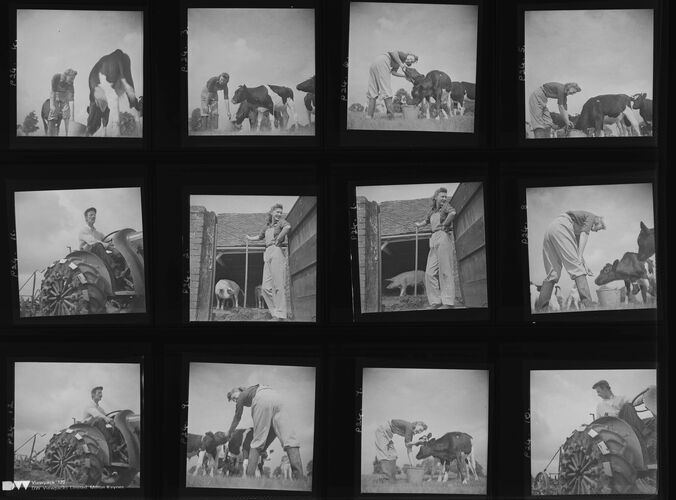 NP_NP04D4_1942_031: Farm