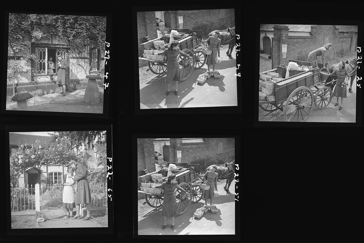 NP_NP04D4_1942_034B: Rural round-up