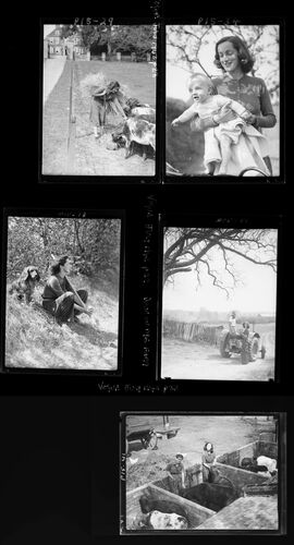 NP_NP04D4_1942_035: Down on the Farm