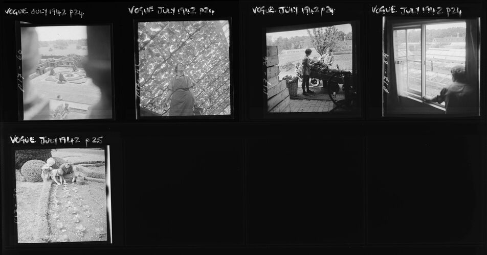 NP_NP04D4_1942_036: Food Before Flowers