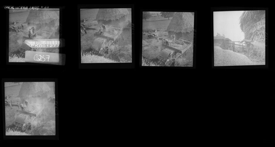 NP_NP04D4_1943_016: Back to the Land