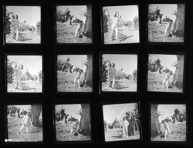 NP_NP04D4_1943_028: Making hay