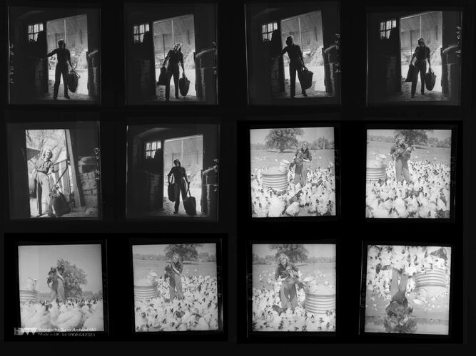 NP_NP04D4_1943_029: Harvesting