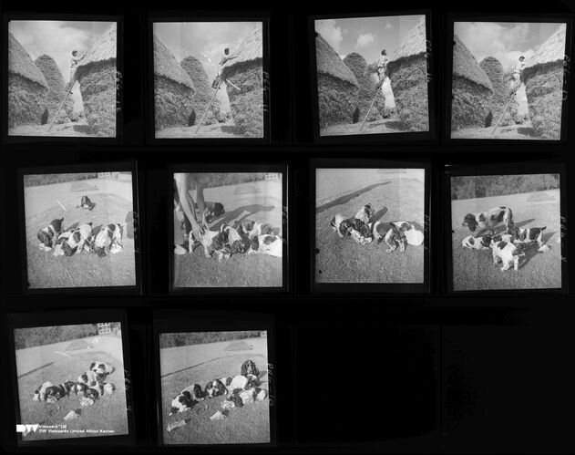 NP_NP04D4_1943_030: Parkinson farm