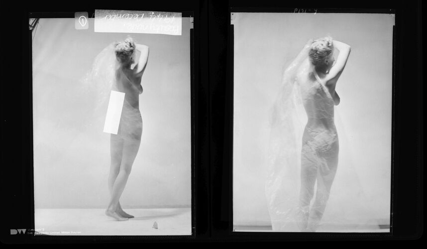 NP_NP04D4_1944_001: Beauty Nude