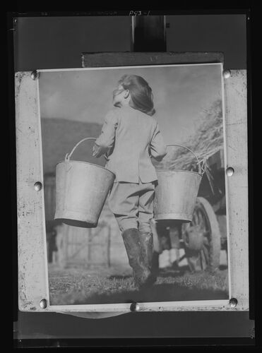 NP_NP04D4_1944_028: Jennifer Feeding the Pigs