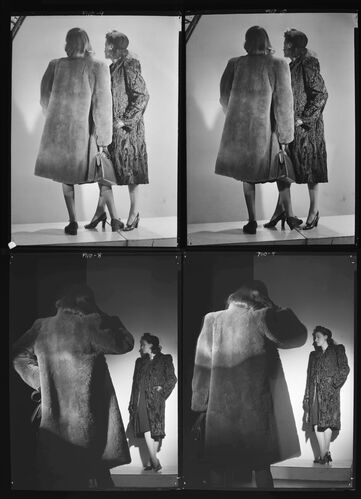 NP_NP04D4_1944_067: Shophound Rakes Them In