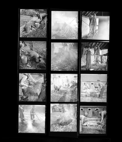 NP_NP05E1_1945_006_B: 