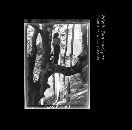 NP_NP05E1_1945_041: Green days in the Forests