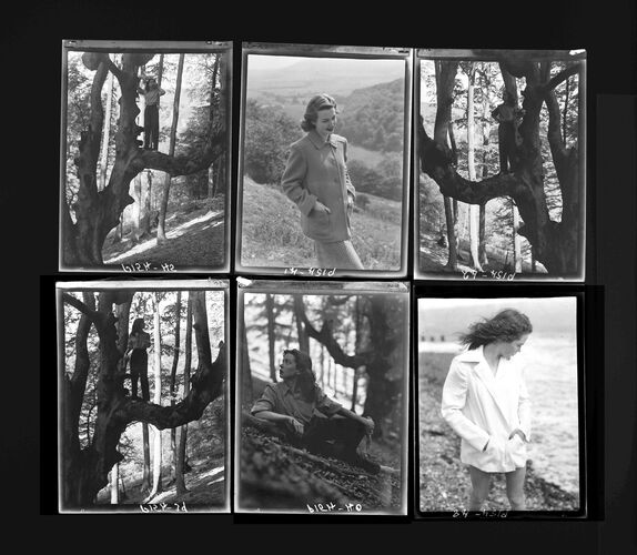 NP_NP05E1_1945_042_A: Green days in the forests, Vogue July 1945