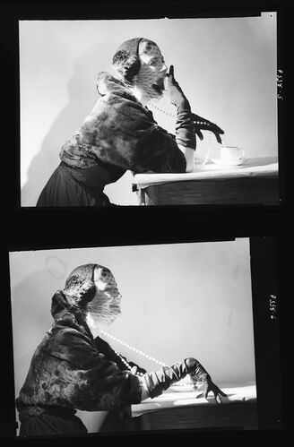 NP_NP05E2_1949_021C: Wenda Parkinson