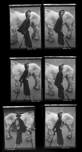 NP_NP05E2_1950_024: Collections