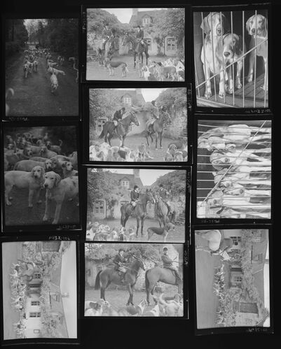 NP_NP05E2_1950_062B: Hunting