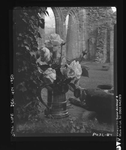 NP_NP05E2_1950_064: Still Life