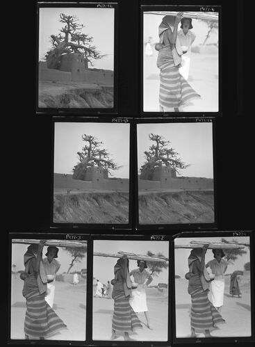 NP_NP05E2_1951_017A: 1950s Vogue