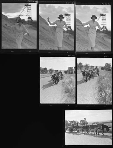 NP_NP05E2_1951_023A: 1950s Vogue