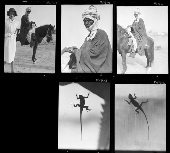 NP_NP05E2_1951_024B: 1950s Vogue