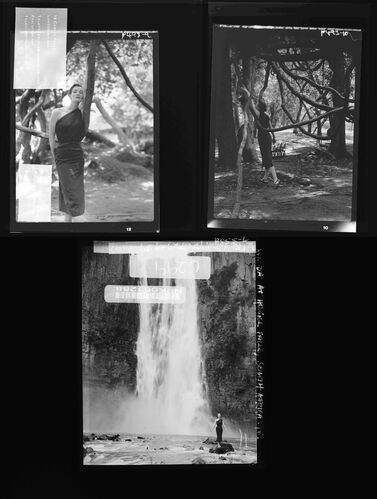 NP_NP05E2_1951_030A: 1950s Vogue