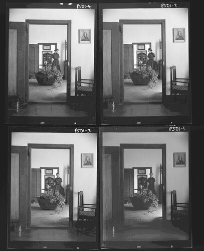 NP_NP05E2_1951_033B: 1950s Vogue