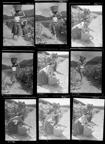 NP_NP05E2_1951_038C: 1950s Vogue