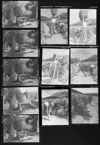 NP_NP05E2_1951_038D: 1950s Vogue