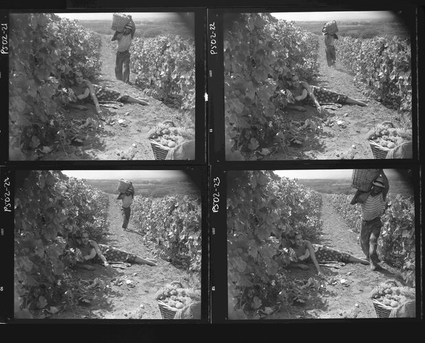 NP_NP05E2_1951_038E: 1950s Vogue