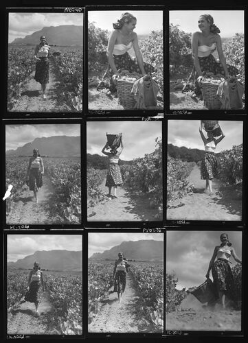 NP_NP05E2_1951_038F: 1950s Vogue