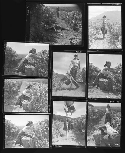 NP_NP05E2_1951_038G: 1950s Vogue