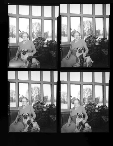 NP_NP05E3_1953_023: Mrs Shuttleworth,  Feb 1953 Vogue