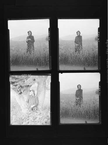 NP_NP05E3_1953_155A: Scotland, Vogue Aug 1953